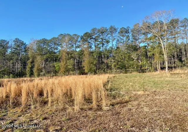 Photo 2 of Land for sale at 1169 Ole Springs Rd, Summit, MS 39666 | MLS# 4161097 | Listing updated on 2026-09-01