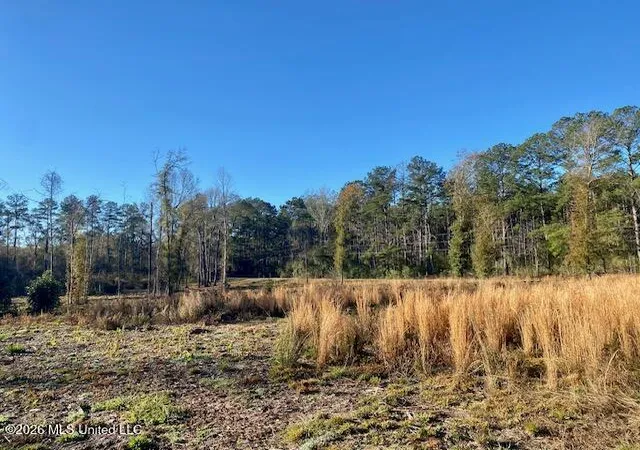 Photo 3 of Land for sale at 1169 Ole Springs Rd, Summit, MS 39666 | MLS# 4161097 | Listing updated on 2026-09-01