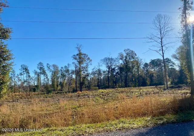 Photo 3 of Land for sale at 1169 Ole Springs Rd, Summit, MS 39666 | MLS# 4161097 | Listing updated on 2026-09-01
