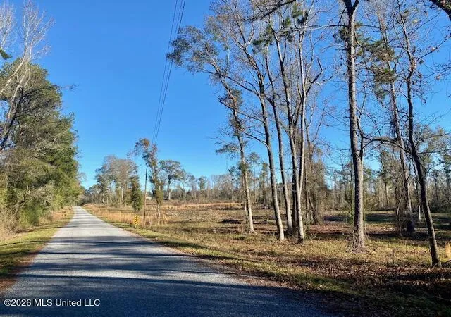 Photo 4 of Land for sale at 1169 Ole Springs Rd, Summit, MS 39666 | MLS# 4161097 | Listing updated on 2026-09-01