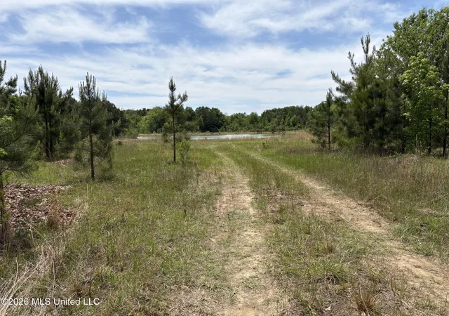 Photo 3 of Land for sale at Finney Rd, Canton, MS 39046 | MLS# 4161295 | Listing updated on 2026-09-09