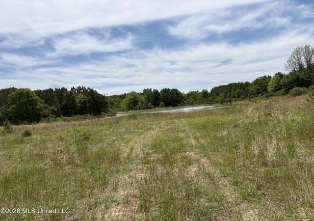 Photo 3 of Land for sale at Finney Rd, Canton, MS 39046 | MLS# 4161295 | Listing updated on 2026-09-09
