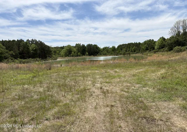 Photo 4 of Land for sale at Finney Rd, Canton, MS 39046 | MLS# 4161295 | Listing updated on 2026-09-09