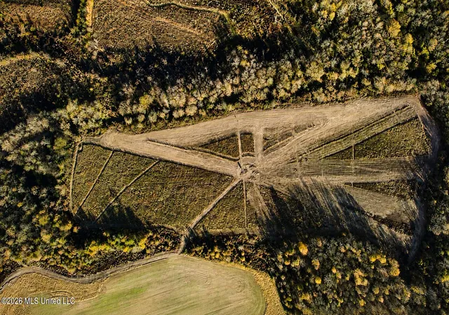 Photo 2 of Land for sale at 4827 Newport, Pickens, MS 39146 | MLS# 4161544 | Listing updated on 2026-09-06