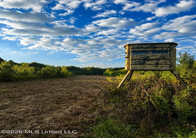 Photo 3 of Land for sale at 4827 Newport, Pickens, MS 39146 | MLS# 4161544 | Listing updated on 2026-09-06