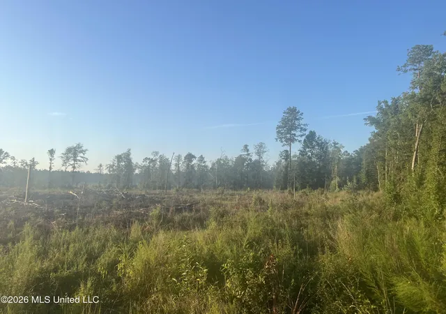 Photo 1 of Sale Pending at Vernal River Rd, Lucedale, MS 39452 | MLS# 4161056 | Listing updated on 2026-09-04
