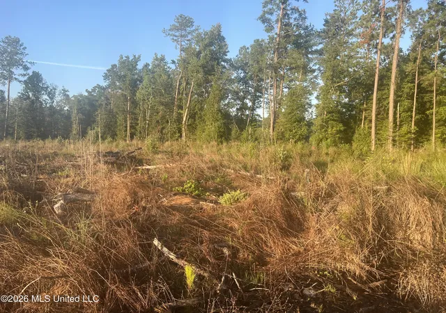 Photo 4 of Sale Pending at Vernal River Rd, Lucedale, MS 39452 | MLS# 4161056 | Listing updated on 2026-09-04