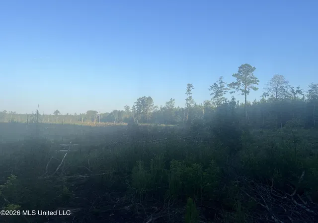 Photo 3 of Land for sale at Vernal River, Lucedale, MS 39452 | MLS# 4161062 | Listing updated on 2026-09-01