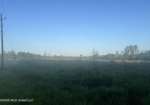 Photo 3 of Land for sale at Vernal River, Lucedale, MS 39452 | MLS# 4161062 | Listing updated on 2026-09-01