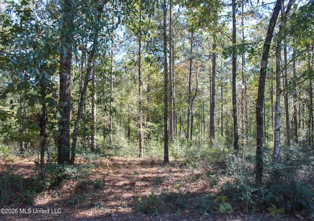 Photo 1 of Land for sale at Marshal Pl, Petal, MS 39465 | MLS# 4161074 | Listing updated on 2026-09-01