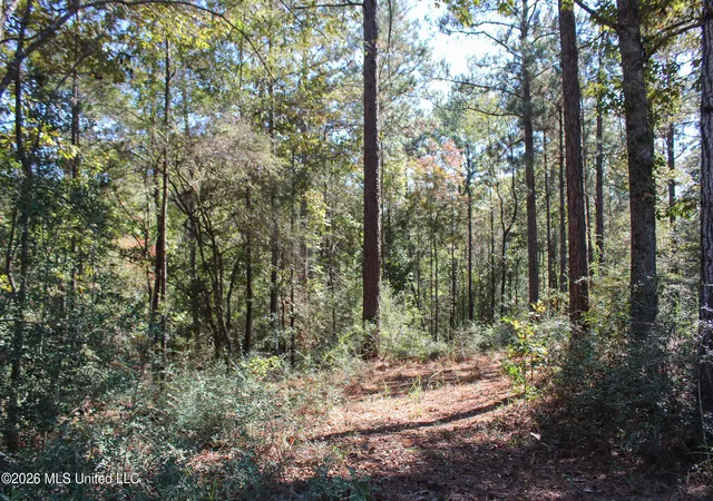 Photo 3 of Land for sale at Marshal Pl, Petal, MS 39465 | MLS# 4161074 | Listing updated on 2026-09-01