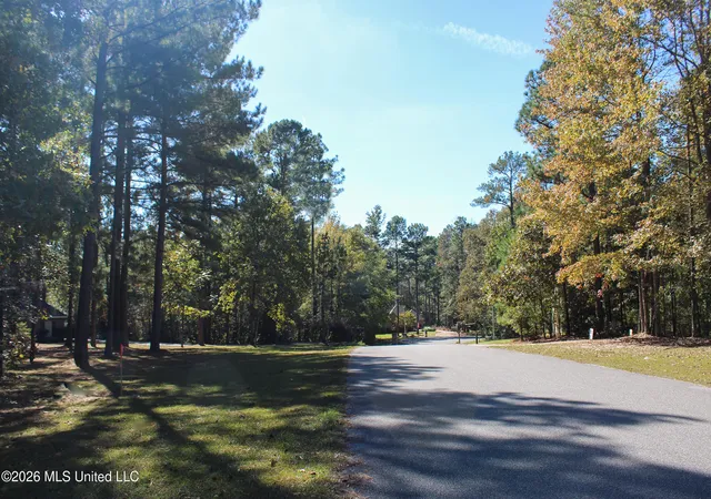 Photo 3 of Land for sale at Marshal Pl, Petal, MS 39465 | MLS# 4161074 | Listing updated on 2026-09-01