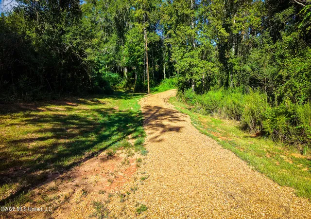 Photo 2 of Single family home for sale at 622 Highway 583, Tylertown, MS 39667 | MLS# 4162015 | Listing updated on 2026-09-10
