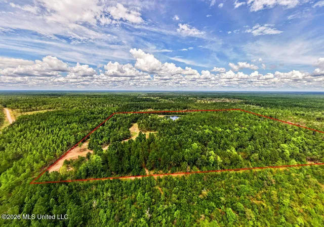 Photo 4 of Sale Pending at Wire Rd, Vancleave, MS 39565 | MLS# 4161324 | Listing updated on 2026-09-08