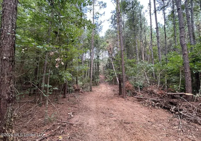Photo 22 of Land for sale at 11853 Highway 24, Centreville, MS 39631 | MLS# 4161108 | Listing updated on 2026-09-01