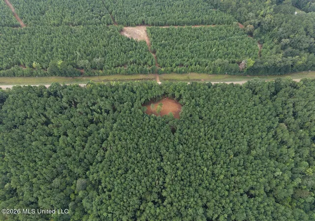 Photo 3 of Land for sale at 11853 Highway 24, Centreville, MS 39631 | MLS# 4161108 | Listing updated on 2026-09-01