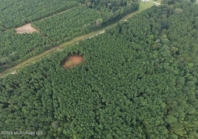 Photo 3 of Land for sale at 11853 Highway 24, Centreville, MS 39631 | MLS# 4161108 | Listing updated on 2026-10-22