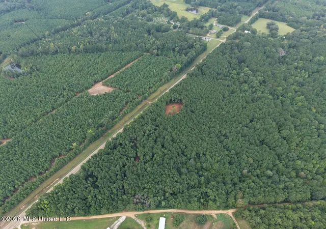 Photo 4 of Land for sale at 11853 Highway 24, Centreville, MS 39631 | MLS# 4161108 | Listing updated on 2026-10-22
