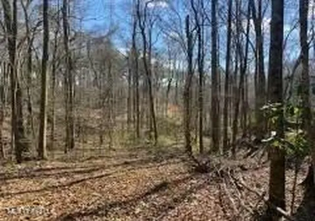 Photo 2 of Land for sale at Lot 11 Turkey Crk Rd, Natchez, MS 39120 | MLS# 4161119 | Listing updated on 2026-09-01