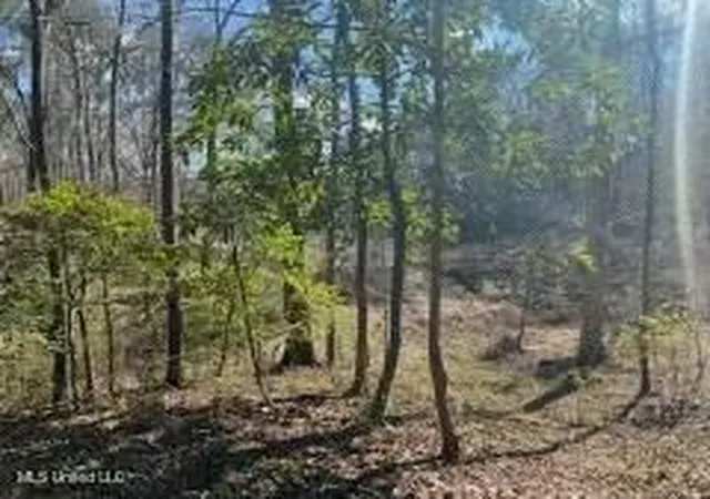 Photo 3 of Land for sale at Lot 11 Turkey Crk Rd, Natchez, MS 39120 | MLS# 4161119 | Listing updated on 2026-09-01