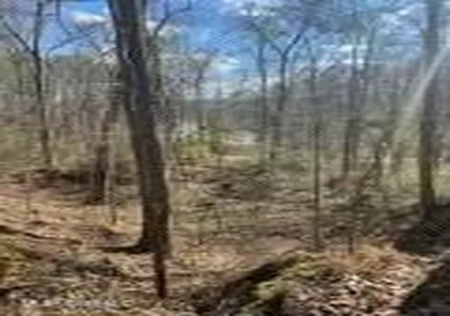 Photo 4 of Land for sale at Lot 11 Turkey Crk Rd, Natchez, MS 39120 | MLS# 4161119 | Listing updated on 2026-09-01