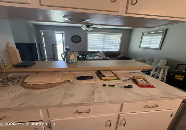 Photo 3 of Single family home for sale at 17096 Mississippi 503, Decatur, MS 39327 | MLS# 4161146 | Listing updated on 2026-09-01