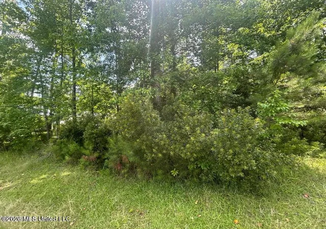 Photo 1 of Land for sale at 00 Pine Tree Rd, Pachuta, MS 39347 | MLS# 4161194 | Listing updated on 2026-09-02