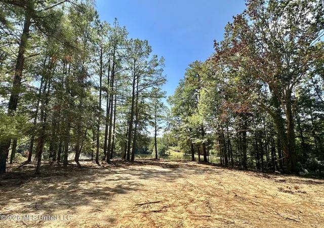 Photo 2 of Land for sale at 00 Race Trak Rd, West, MS 39192 | MLS# 4161195 | Listing updated on 2026-09-02