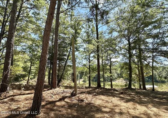 Photo 3 of Land for sale at 00 Race Trak Rd, West, MS 39192 | MLS# 4161195 | Listing updated on 2026-09-02