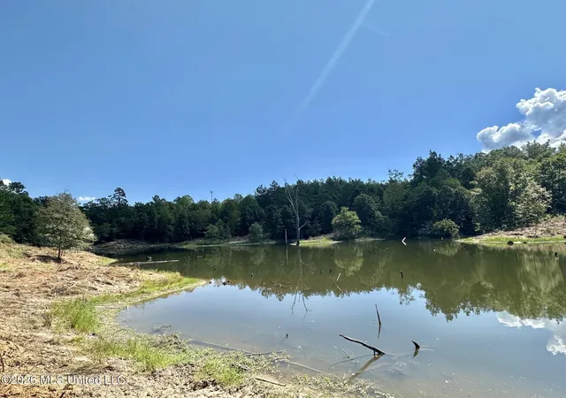 Photo 3 of Land for sale at 00 Race Trak Rd, West, MS 39192 | MLS# 4161195 | Listing updated on 2026-09-02