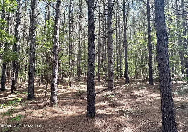 Photo 1 of Land for sale at 1 Dry Crk Rd, Magee, MS 39111 | MLS# 4161199 | Listing updated on 2026-09-02