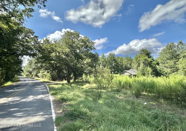 Photo 3 of Land for sale at 1 Dry Crk Rd, Magee, MS 39111 | MLS# 4161199 | Listing updated on 2026-09-02