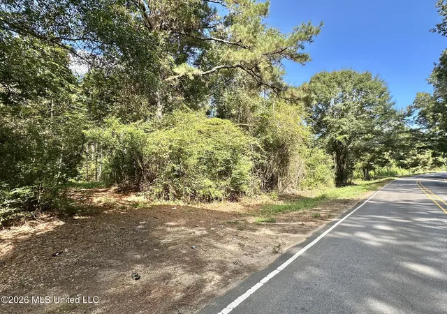 Photo 1 of Land for sale at 2 Dry Crk Rd, Magee, MS 39111 | MLS# 4161202 | Listing updated on 2026-09-02