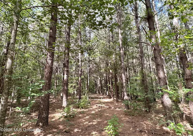 Photo 2 of Land for sale at 2 Dry Crk Rd, Magee, MS 39111 | MLS# 4161202 | Listing updated on 2026-09-02