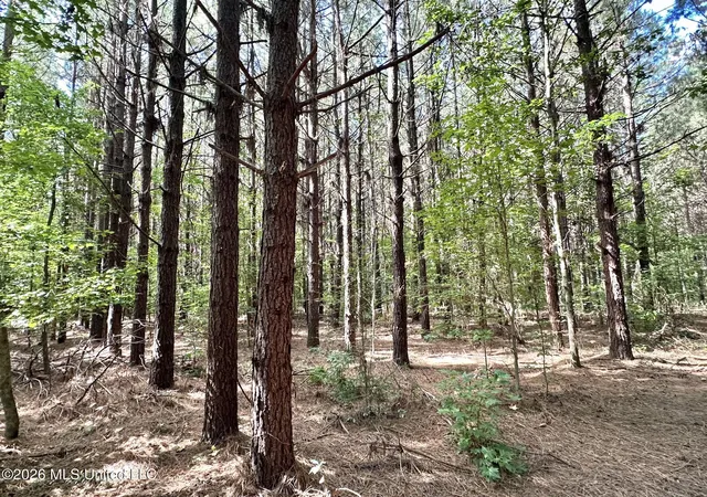 Photo 2 of Land for sale at 2 Dry Crk Rd, Magee, MS 39111 | MLS# 4161202 | Listing updated on 2026-09-02