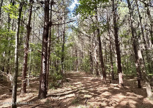 Photo 3 of Land for sale at 2 Dry Crk Rd, Magee, MS 39111 | MLS# 4161202 | Listing updated on 2026-09-02