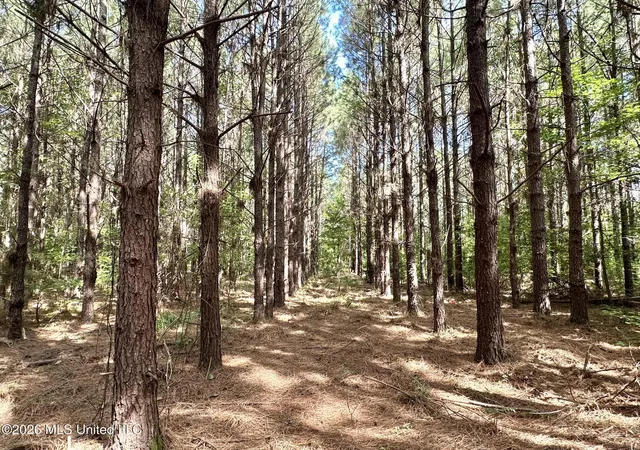Photo 4 of Land for sale at 2 Dry Crk Rd, Magee, MS 39111 | MLS# 4161202 | Listing updated on 2026-09-02
