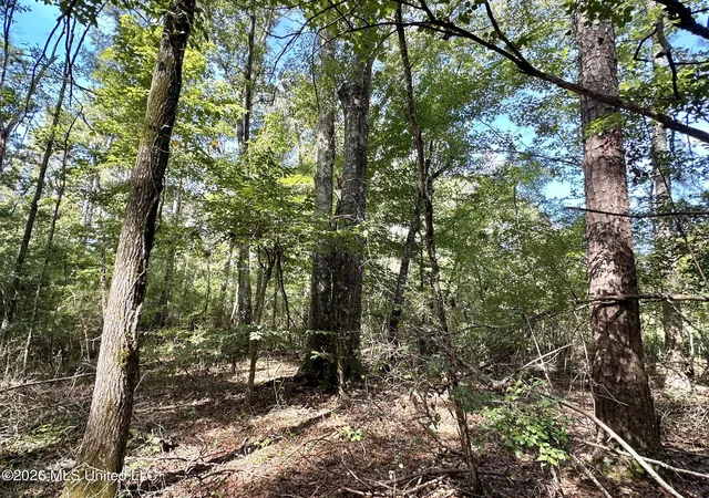 Photo 2 of Land for sale at 3 Dry Crk Rd, Magee, MS 39111 | MLS# 4161203 | Listing updated on 2026-09-02