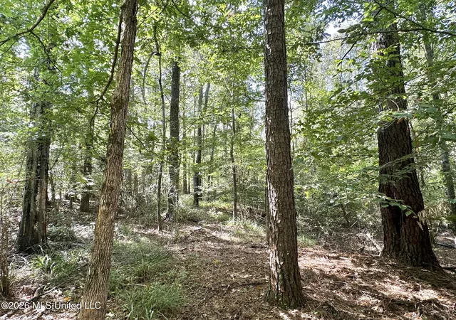 Photo 3 of Land for sale at 3 Dry Crk Rd, Magee, MS 39111 | MLS# 4161203 | Listing updated on 2026-09-02