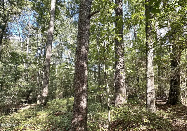 Photo 4 of Land for sale at 3 Dry Crk Rd, Magee, MS 39111 | MLS# 4161203 | Listing updated on 2026-09-02