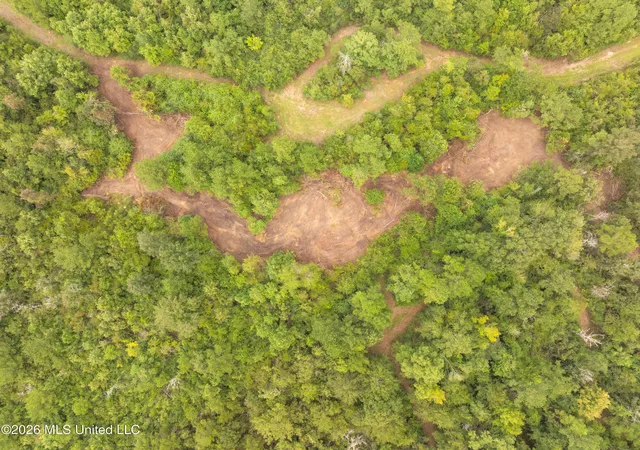 Photo 25 of Land for sale at 2705 Pilgrims Rest Rd, Magnolia, MS 39652 | MLS# 4161237 | Listing updated on 2026-09-03