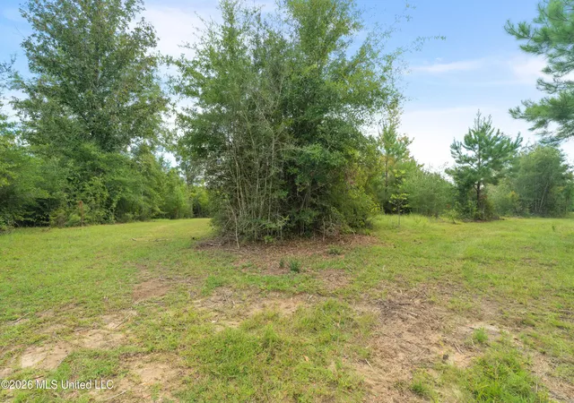 Photo 3 of Land for sale at 2705 Pilgrims Rest Rd, Magnolia, MS 39652 | MLS# 4161237 | Listing updated on 2026-09-03