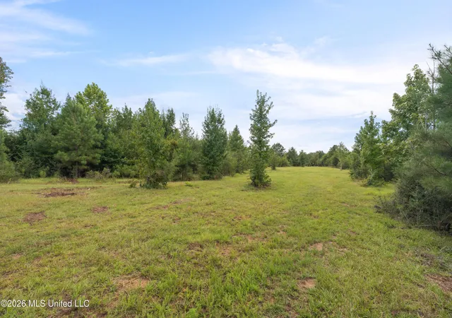 Photo 4 of Land for sale at 2705 Pilgrims Rest Rd, Magnolia, MS 39652 | MLS# 4161237 | Listing updated on 2026-09-03