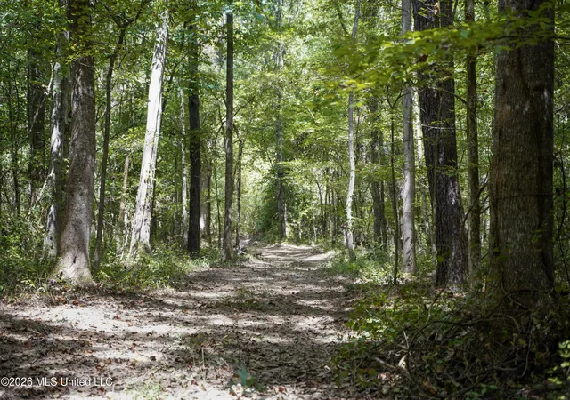 Photo 2 of Land for sale at Mcintyre Rd, Brandon, MS 39042 | MLS# 4161533 | Listing updated on 2026-09-08