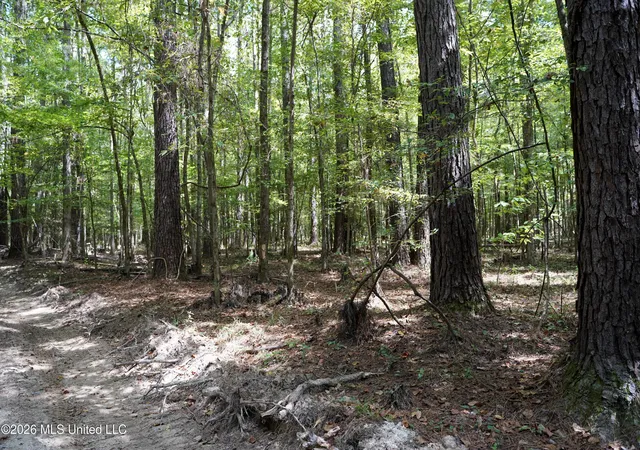 Photo 3 of Land for sale at Mcintyre Rd, Brandon, MS 39042 | MLS# 4161533 | Listing updated on 2026-09-08