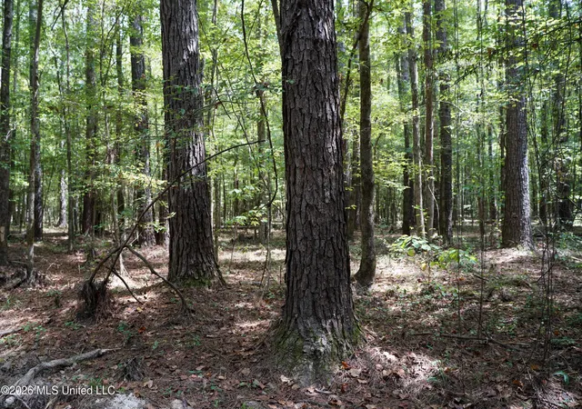 Photo 3 of Land for sale at Mcintyre Rd, Brandon, MS 39042 | MLS# 4161533 | Listing updated on 2026-09-08