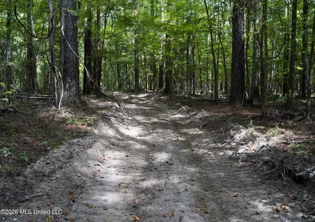 Photo 4 of Land for sale at Mcintyre Rd, Brandon, MS 39042 | MLS# 4161533 | Listing updated on 2026-09-08