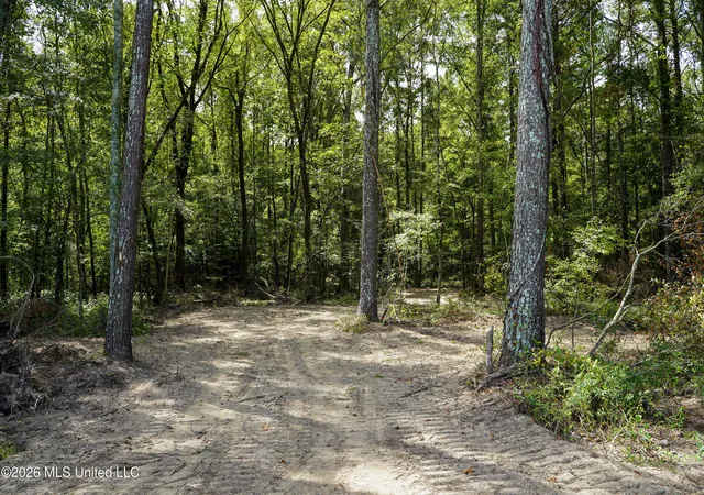Photo 1 of Land for sale at Johns Shiloh Rd, Brandon, MS 39042 | MLS# 4161524 | Listing updated on 2026-09-17