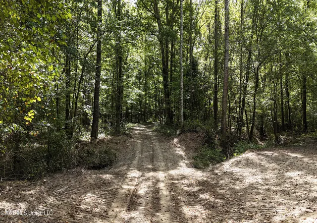 Photo 2 of Land for sale at Johns Shiloh Rd, Brandon, MS 39042 | MLS# 4161524 | Listing updated on 2026-09-17