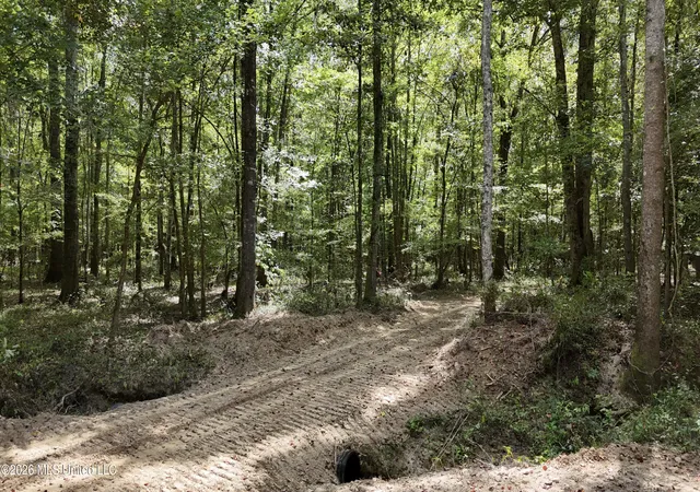 Photo 3 of Land for sale at Johns Shiloh Rd, Brandon, MS 39042 | MLS# 4161524 | Listing updated on 2026-09-17